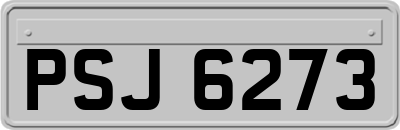 PSJ6273
