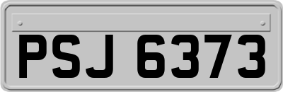 PSJ6373