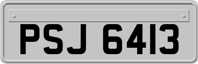 PSJ6413