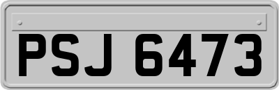PSJ6473