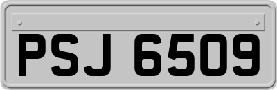 PSJ6509