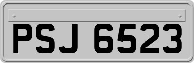 PSJ6523