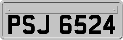 PSJ6524
