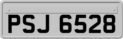 PSJ6528