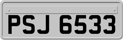 PSJ6533