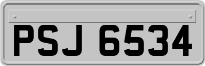 PSJ6534