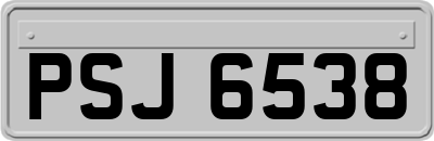 PSJ6538