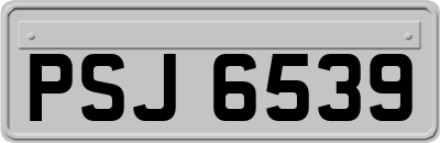 PSJ6539