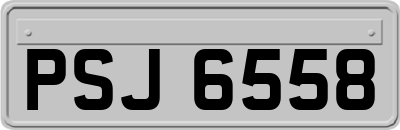 PSJ6558