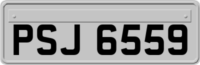 PSJ6559