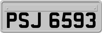PSJ6593