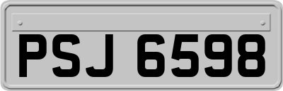 PSJ6598