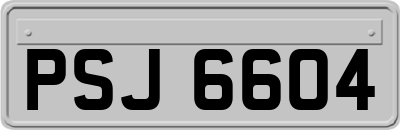 PSJ6604