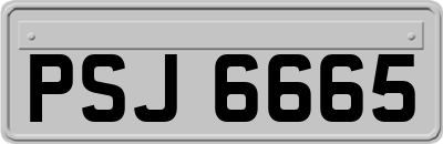 PSJ6665