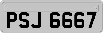 PSJ6667