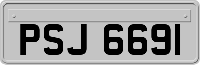 PSJ6691