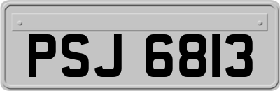 PSJ6813
