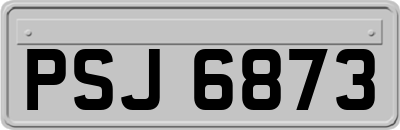 PSJ6873
