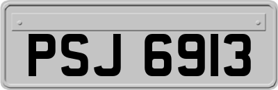 PSJ6913