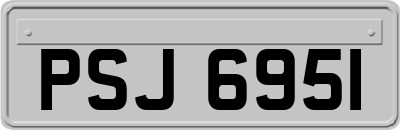 PSJ6951