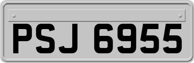 PSJ6955