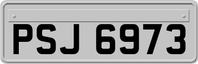 PSJ6973