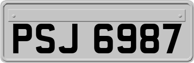 PSJ6987