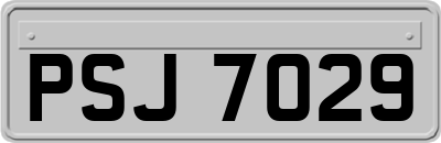 PSJ7029