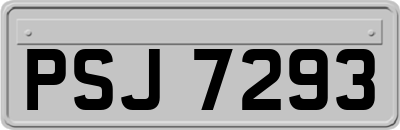 PSJ7293