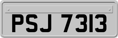 PSJ7313