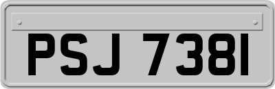 PSJ7381