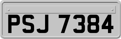 PSJ7384