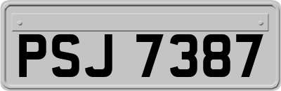 PSJ7387