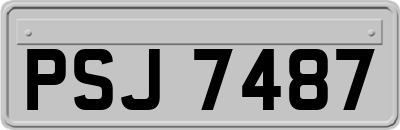 PSJ7487