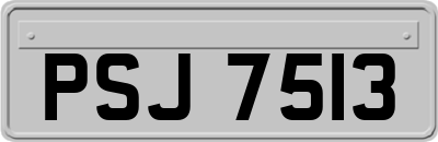 PSJ7513