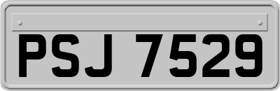PSJ7529