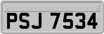PSJ7534