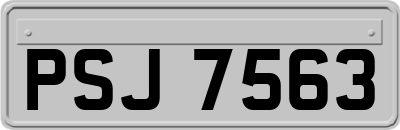 PSJ7563