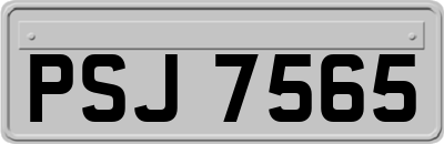 PSJ7565