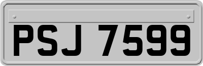 PSJ7599