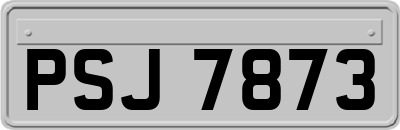 PSJ7873