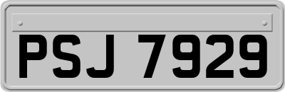 PSJ7929