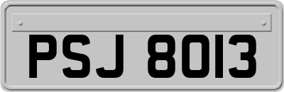 PSJ8013