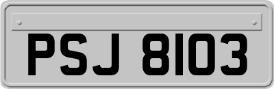 PSJ8103