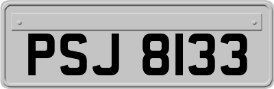 PSJ8133