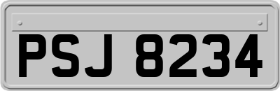 PSJ8234