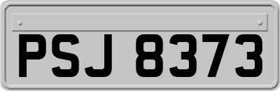 PSJ8373
