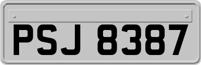 PSJ8387