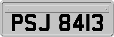 PSJ8413