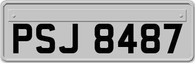PSJ8487